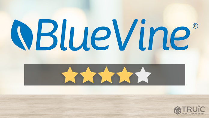 BlueVine Small Business Loans Review Image.