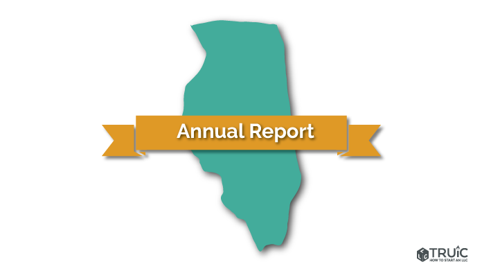 Illinois LLC Annual Report Image