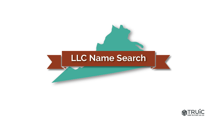 Virginia LLC Name Search Image